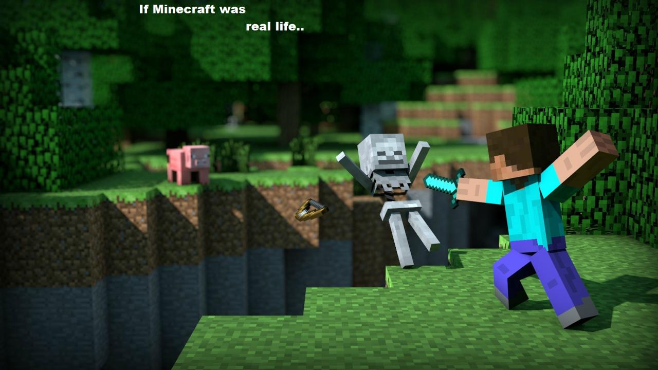 this-is-minecraft_4834805_lrg_5896819_lrg