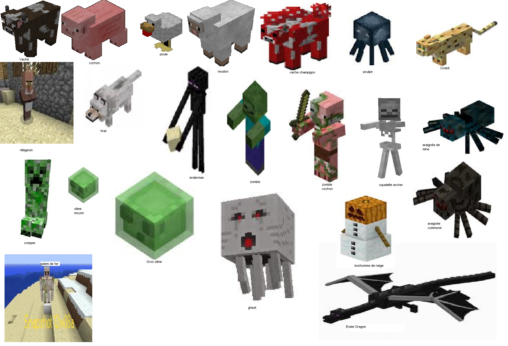 mobs-minecraft-nommées